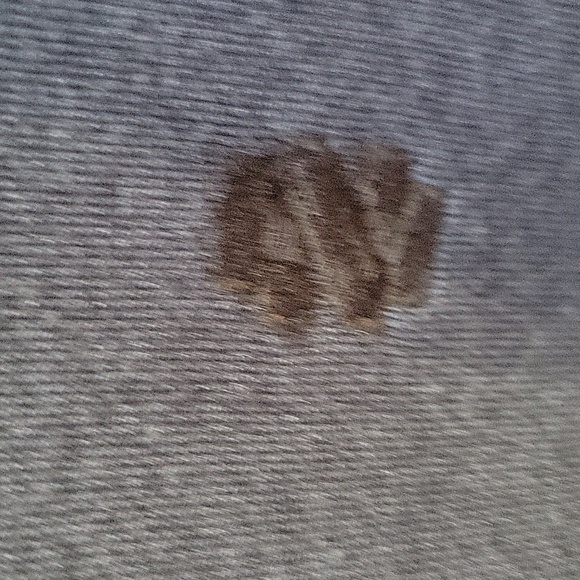 Mens Izod sweatshirt. COLOR Blue.Size XL. - Picture 2 of 4